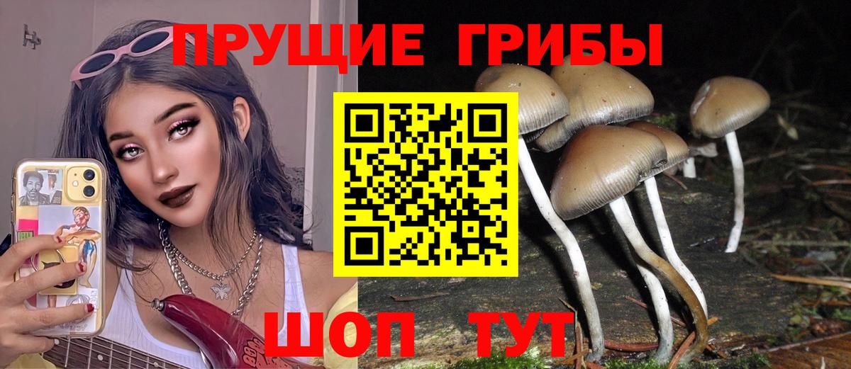 Псилоцибиновые грибы MAGIC MUSHROOMS  Псилоцибиновые грибы прущие грибы  Вход с VPN  Пугачёв 