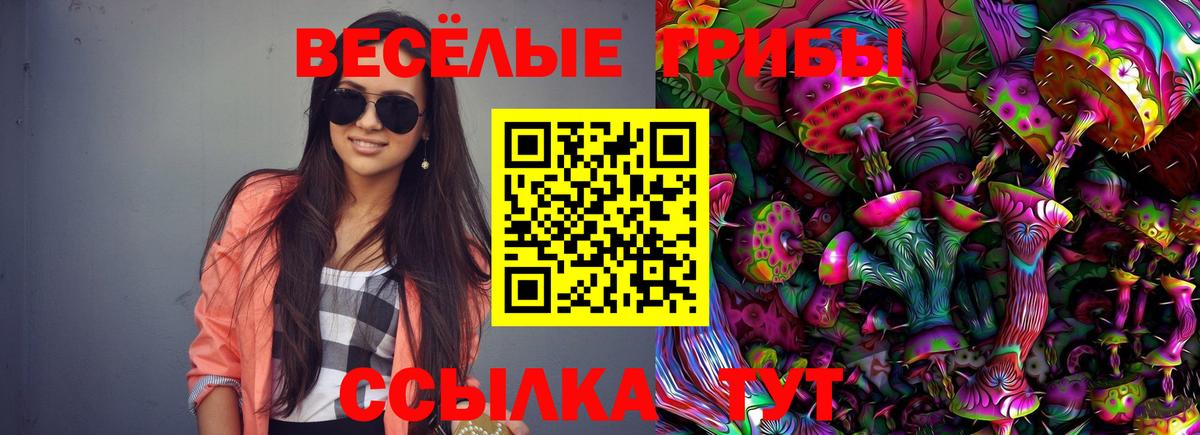 Псилоцибиновые грибы Psilocybe Пугачёв